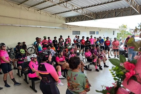Pedal Rosa